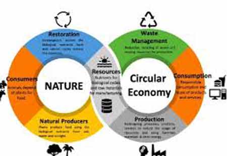 Circular Capital Strategies in Hotel Mattress Recycling